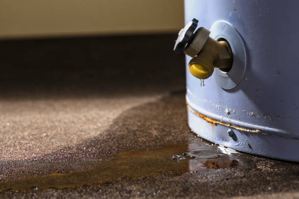 Best Water damage mitigation services  in Sheridan, WY