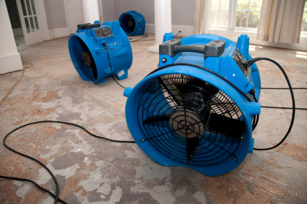 Best 24-hour water damage restoration  in Sheridan, WY
