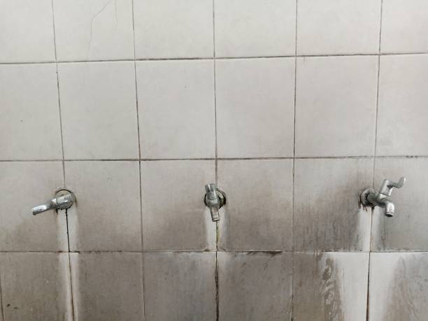 Best Water damage restoration near me  in Sheridan, WY