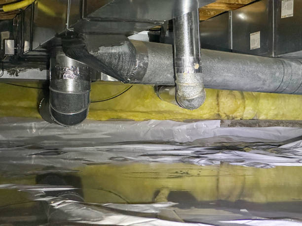 Best Professional water damage repair  in Sheridan, WY