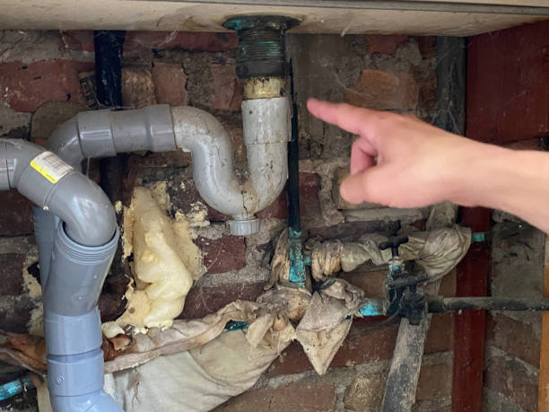 Best Water damage restoration process  in Sheridan, WY