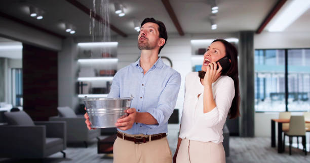 Best Commercial water damage restoration  in Sheridan, WY